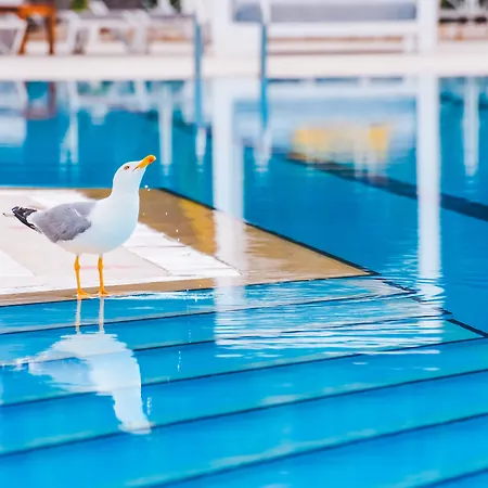 Warner Phokaia Hotel Foça