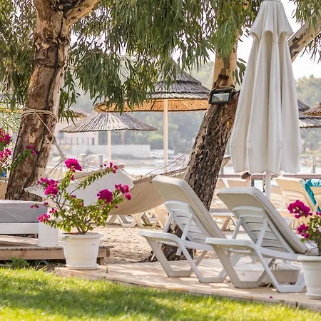 Warner Phokaia Foça