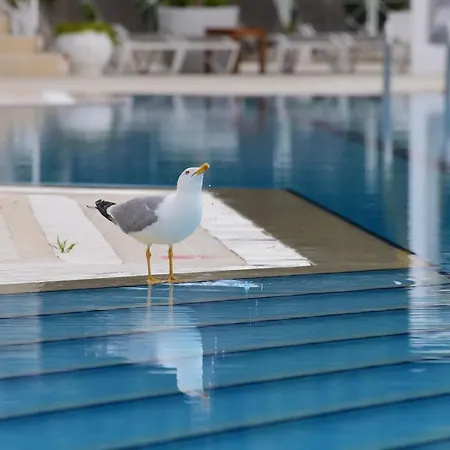 Szálloda Warner Phokaia Foca