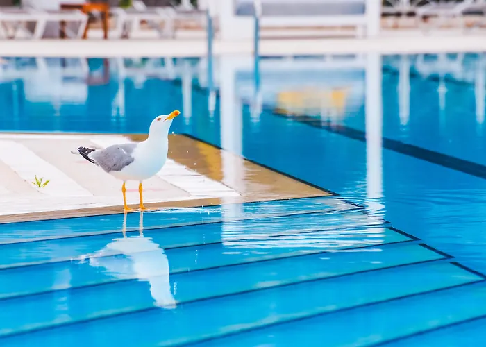 Warner Phokaia Otel Foça