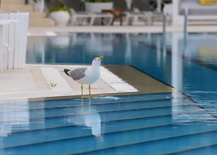 Otel Warner Phokaia Foça